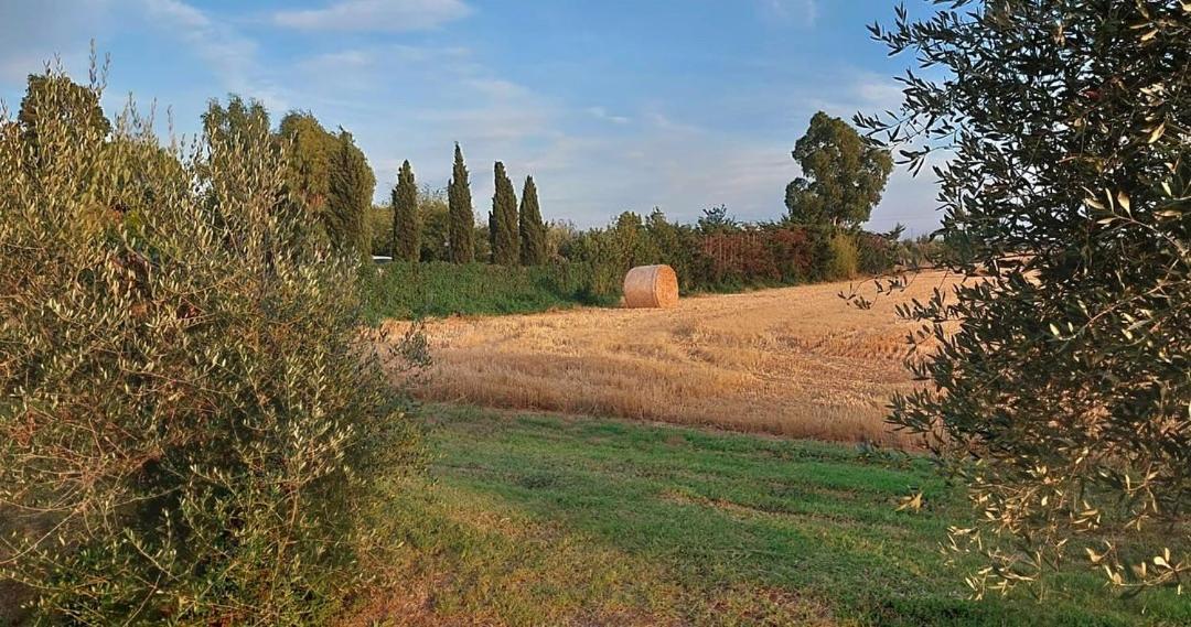 Il Cantuccio Cascina Exterior foto